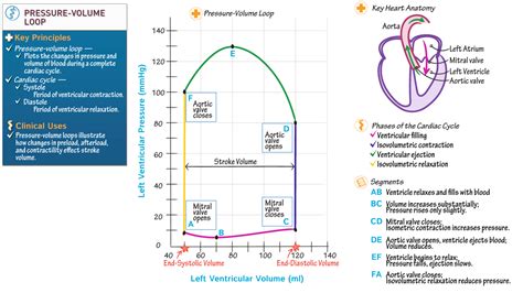 ventricular systolic pressure calculator.